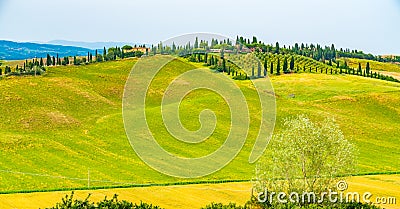 Panoramic view of hilly landscape in Tuscany Stock Photo