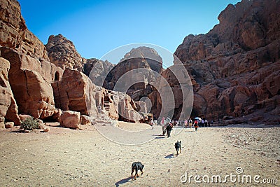 Panoramic view of historical city of Petra, Jordan Editorial Stock Photo