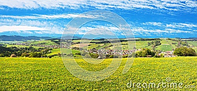 Meadow ful of dandelions and beautiful clouds Stock Photo