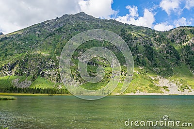 Panoramic view of idyllic summer landscape Stock Photo