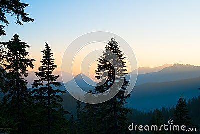 Panoramic view of Mount Rainier National Park Stock Photo