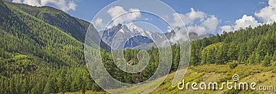 Panoramic view of a mountain valley. Summer travel, sunny day. Forest, snow-capped peaks Stock Photo