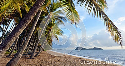 Panoramic view os Palm Cove sea shore at sunrise Queensland Aus Stock Photo