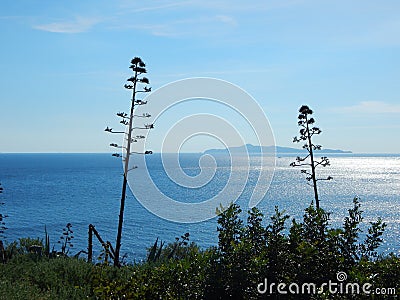 Panoramic view over Cape Sounion, Attica, Greece Stock Photo