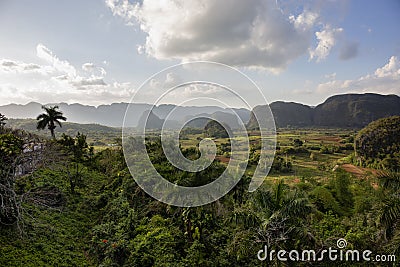 Panoramic view over landscape with mogotes in Vinales Valley ,Cuba Stock Photo
