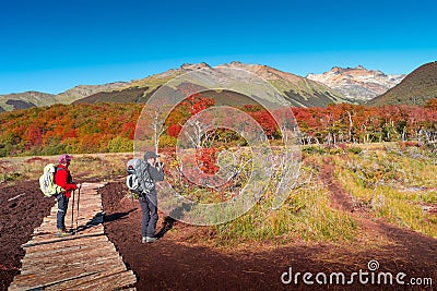 Panoramic view over magical austral forest, peatbogs and high mountains and hikers in Tierra del Fuego National Park, Patagonia, Editorial Stock Photo