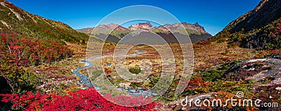 Panoramic view over magical austral forests, peat bogs and high mountains in Tierra del Fuego National Park, Patagonia Stock Photo