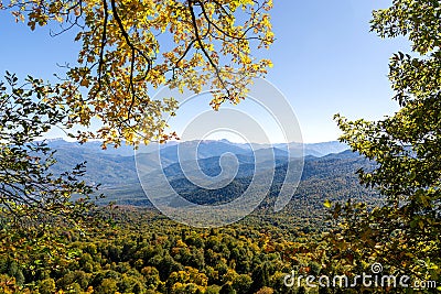 Panoramic view over mountains covered by forest Stock Photo