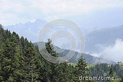 Panoramic view of Pokut plateau in blacksea karadeniz, Rize, Turkey. Tree, grass Stock Photo