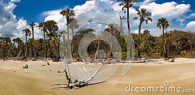 A panoramic view of a pristine undeveloped beach on a barrier island. Stock Photo