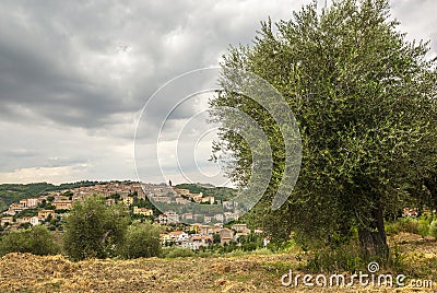 Panoramic view of Seggiano, in Tuscany Stock Photo