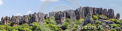 Panoramic view of Shilin limestone pinnacles Stone Forest - Yunn Stock Photo