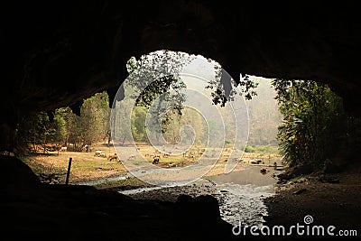 panoramic view showing the mouth of Thum Lod cave, Northern Thailand. With a river running thru it. Stock Photo