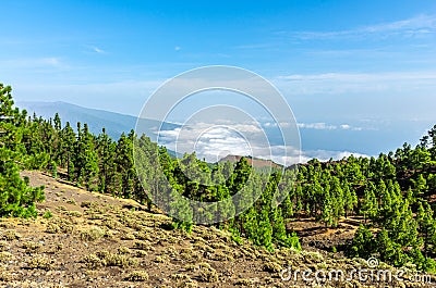 Panoramic view from the summits of the Ruta de los Volcanes Stock Photo