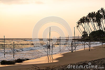 Panoramic view on traditional fishermen stilt sticks for fishing in the ocean wavesat sunset near Mirissa, Ahangama, Sri Stock Photo