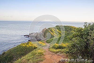 panoramic view of trails in punta comet, Huatulco Oaxaca , MÃ©xico Stock Photo