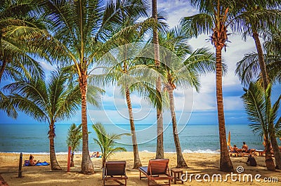 Panoramic view of tropical beach with coconut palm trees Stock Photo