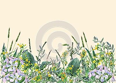 Panoramic view of wild meadow flowers and grass on yellow background. Cartoon Illustration