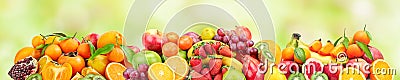 Panoramic wide photo of fresh fruits for skinali on a green back Stock Photo