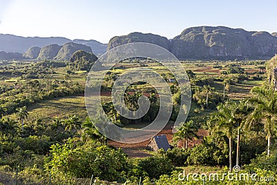 View of fields, mogotes and palms in Vinales Valley, Cuba Stock Photo