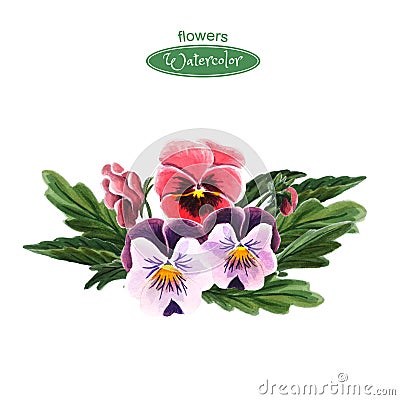 Pansies isolated on white background. Bouquet of red, pink and purple flowers. Cartoon Illustration