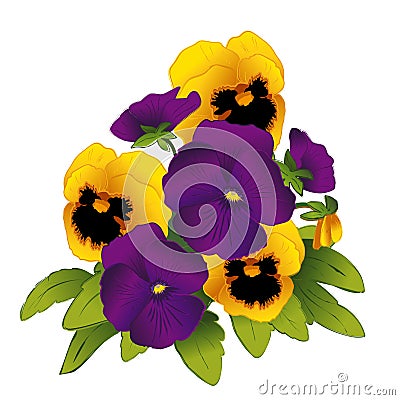 Pansies, Purple and Gold Spring Flowers Vector Illustration