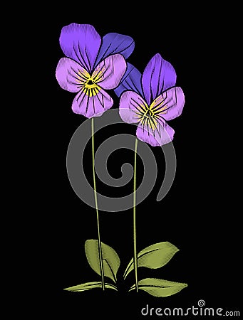 Pansy, violets flower for embroidery in botanical illustration s Vector Illustration