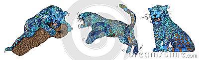 Panther blue beautiful animal Stock Photo