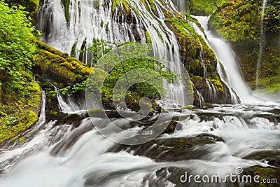 Panther Creek Falls in Washington State Stock Photo