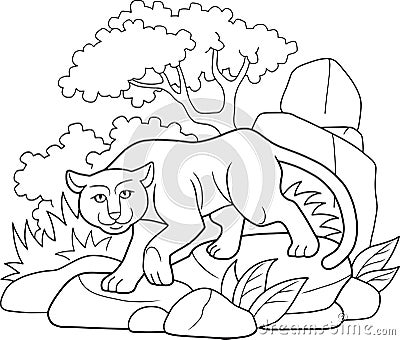 Panther goes in search of prey Vector Illustration