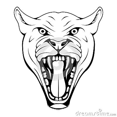 Panther, leopard, cougar, jaguar. Panther with angry face Vector Illustration