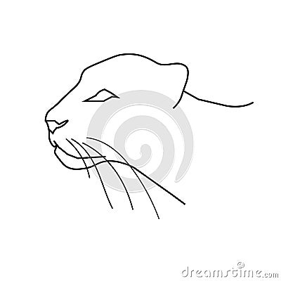 Panther or leopard`s head. Line art doodle sketch. Black outline on white background. Vector illustration. Vector Illustration