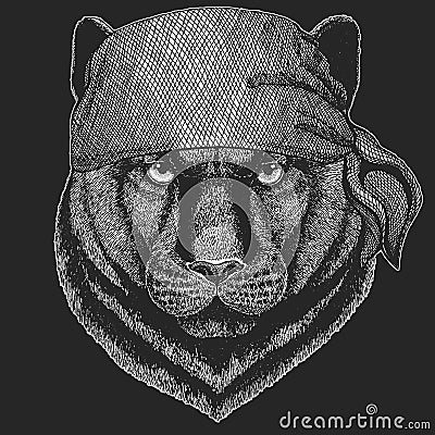 Panther Puma Cougar Wild cat Cool pirate, seaman, seawolf, sailor, biker animal for tattoo, t-shirt, emblem, badge, logo Vector Illustration