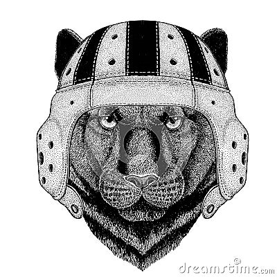 Panther Puma Cougar Wild cat Wild animal wearing rugby helmet Sport illustration Vector Illustration