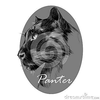 Panther`s profile Vector Illustration