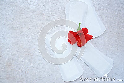 Daily panty liners on a white wooden surface Stock Photo