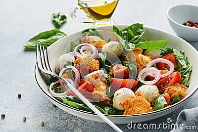 Panzanella, Italian Bread Salad. Traditional food of Italy with tomatoes, mozzarella balls, basil, onion and bread on light grey Stock Photo