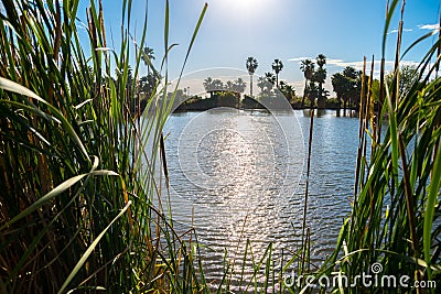 Papago Park Pond Stock Photo