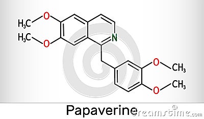 Papaverine molecule. It is opium alkaloid antispasmodic drug. Molecule model. Skeletal chemical formula Stock Photo