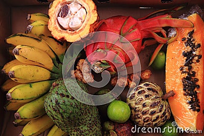 papaya annona bannana dragonfruit Stock Photo