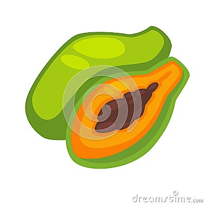 Papaya Edible Exotic Fruit Isolated on White. Vector Illustration