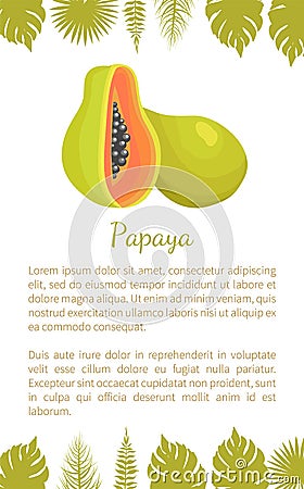 Papaya Exotic Fruit Vector Poster Text Palm Leaves Vector Illustration