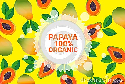 Papaya fruit colorful circle copy space organic over fresh fruits pattern background healthy lifestyle or diet concept Vector Illustration