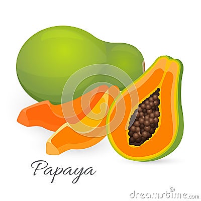 Papaya whole and half. Papaw, or pawpaw ediable exotic fruit. Vector Illustration