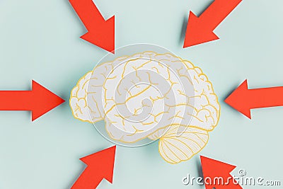 paper brain with arrows. High quality photo Stock Photo