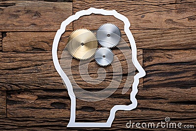 Paper Businessman`s Head Outline With Metallic Gears On Table Stock Photo