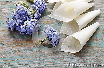 Paper cornets with forget-me-not flowers (Myosotis) Stock Photo