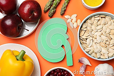 Paper cutout of kidney and different healthy products on orange background, flat lay Stock Photo