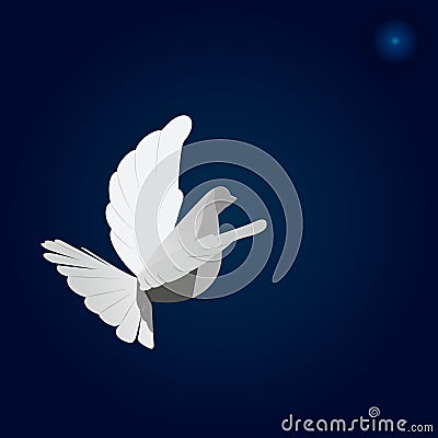 Paper dove Stock Photo