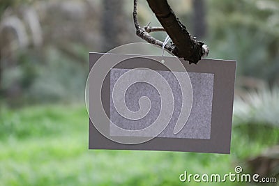 Paper frames hanging by woolen thread rope on the background of green leaves nature Stock Photo